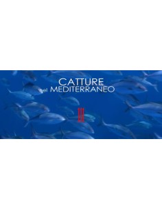 DVD 'CATTURE NEL MEDITERRANEO' DI M. BARDI 2