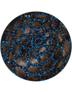 RETINA PER CHIGNON BLU 2