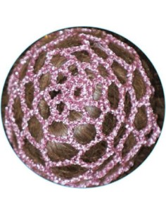 RETINA PER CHIGNON ROSA 2